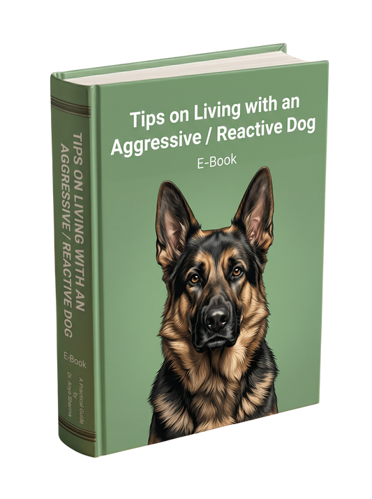 Tips on living with an Aggressive / Reactive Dog E-Book